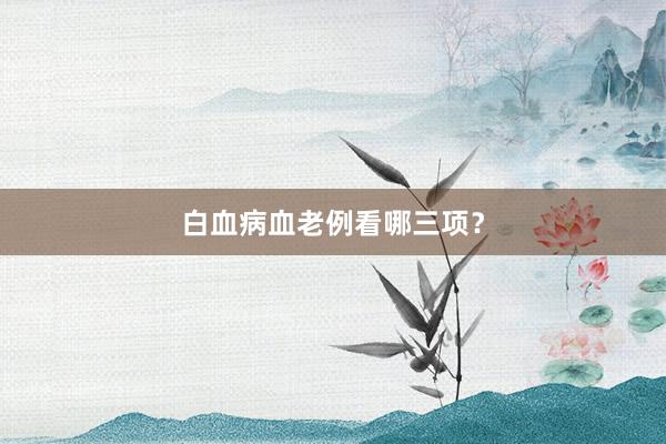 白血病血老例看哪三项？