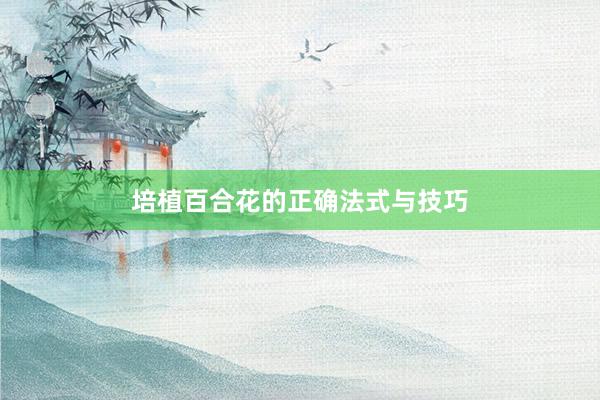培植百合花的正确法式与技巧